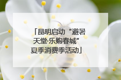 昆明启动“避暑天堂·乐购春城”夏季消费季活动